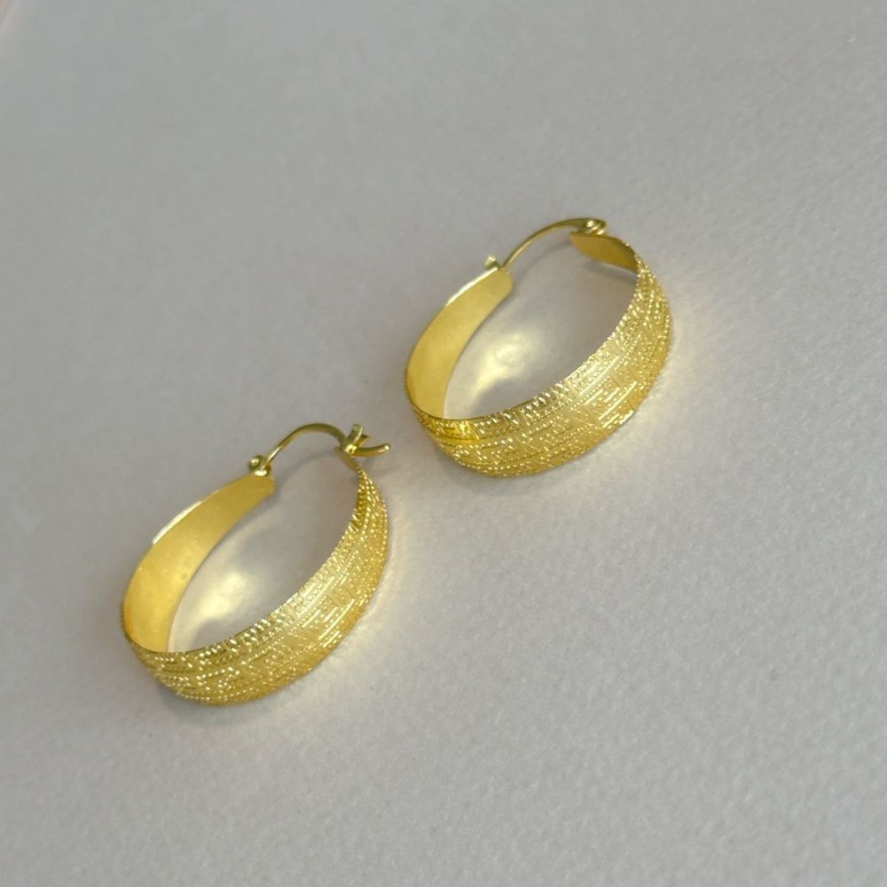 Elegant Hoop Earrings #1484